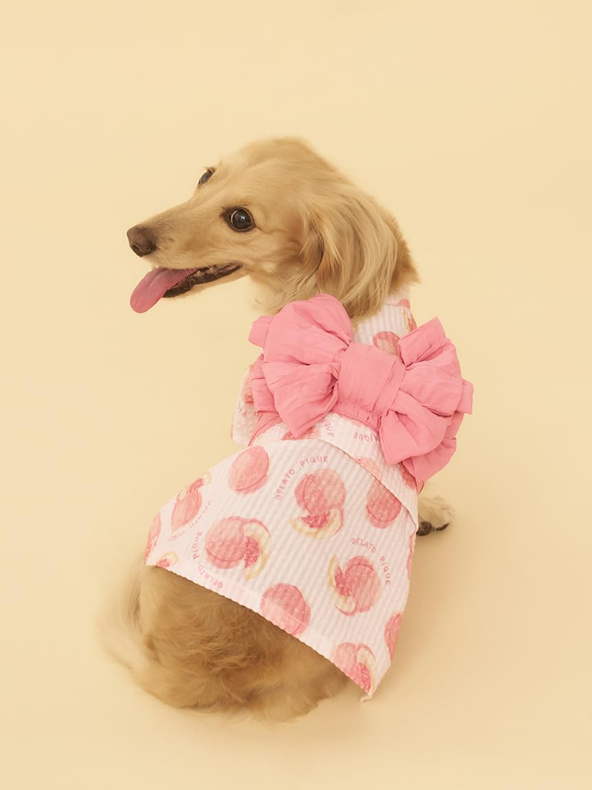 Amazon.co.jp: gelato pique ジェラートピケ: SPECIAL PRICE（Cat＆Dog）